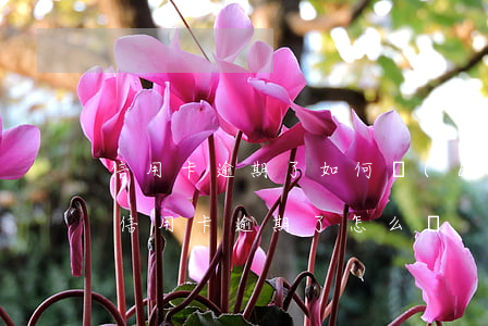 信用卡逾期了如何報(bào)案-不小心信用卡逾期了怎么辦
