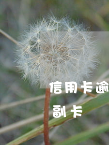 信用卡逾期了如何辦理(信用卡逾期如何辦理副卡)