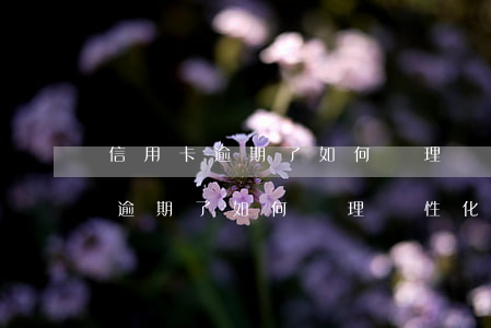 信用卡逾期了如何辦理個性化分期-信用卡逾期了如何辦理個性化分期還款