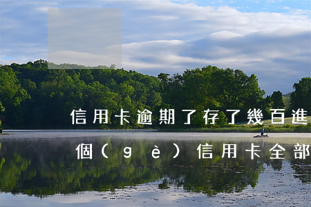 信用卡逾期了存了幾百進(jìn)去(十幾個(gè)信用卡全部逾期了)