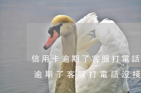 信用卡逾期了客服打電話沒接上海-信用卡逾期了客服打電話沒接上海怎么辦