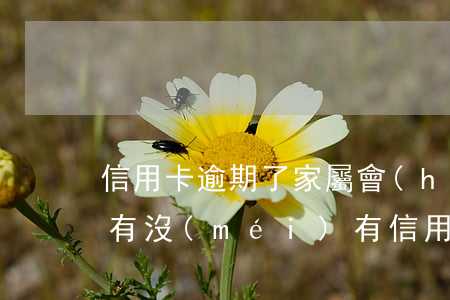 信用卡逾期了家屬會(huì)被起訴嗎-有沒(méi)有信用卡逾期被起訴的人