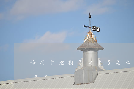 信用卡逾期了封卡了怎么办（信用卡逾期了封卡了）