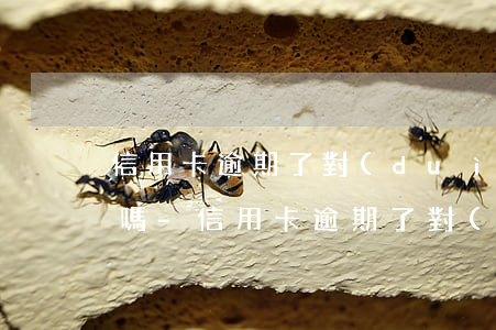 信用卡逾期了對(duì)配偶貸款有影響嗎-信用卡逾期了對(duì)配偶貸款有影響嗎知乎