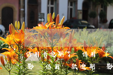 信用卡逾期了對信用產(chǎn)生什么影響(信用貸款逾期會影響信用卡嗎)