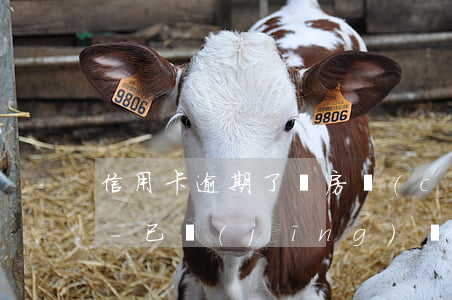 信用卡逾期了對房產(chǎn)有影響嗎-已經(jīng)辦了房貸然后有信用卡逾期有什么后果