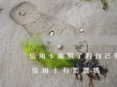 信用卡逾期了對自己有什么影響(逾期對其他信用卡有影響嗎)