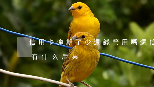 信用卡逾期了少還錢管用嗎(還信用卡逾期會有什么后果)