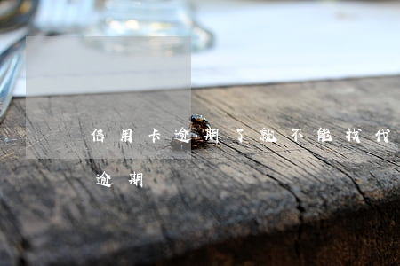 信用卡逾期了就不能找代還了(代處理信用卡逾期)