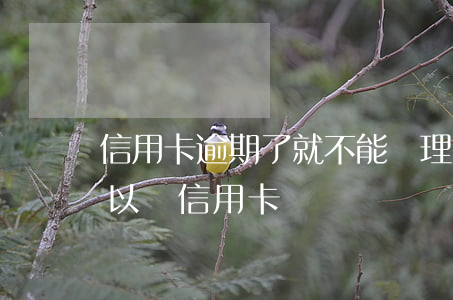 信用卡逾期了就不能辦理房貸嗎(房貸逾期可以辦信用卡嗎)
