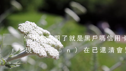 信用卡逾期了就是黑戶嗎(信用卡逾期一點年,現(xiàn)在已還清會變黑戶嗎)