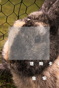 信用卡逾期了就要坐牢嗎(銀行信用卡逾期會坐牢嗎)