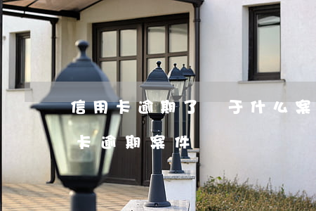 信用卡逾期了屬于什么案件(公安局受理信用卡逾期案件嗎)