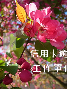 信用卡逾期了工作會丟嗎(信用卡逾期會找到工作單位嗎)
