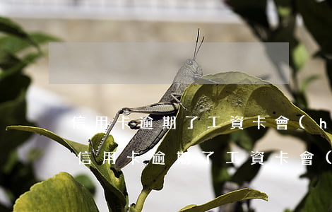 信用卡逾期了工資卡會(huì)被代扣嗎 信用卡逾期了工資卡會(huì)被代扣嗎