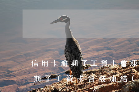 信用卡逾期了工資卡會凍結(jié)嗎(逾期了工資卡會被凍結(jié)嗎)