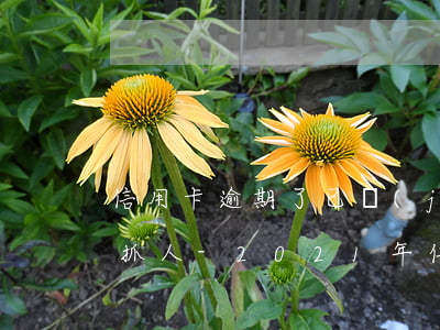 信用卡逾期了已經(jīng)立案多少會抓人-2021年信用卡逾期立案標準