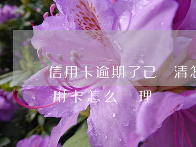 信用卡逾期了已還清怎么貸款(逾期還清的信用卡怎么處理)