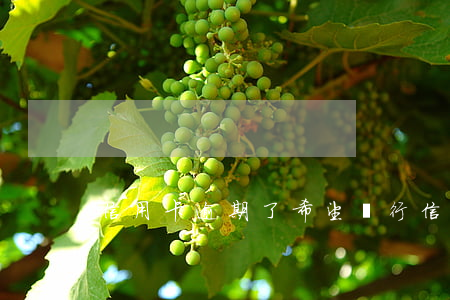 信用卡逾期了希望貴行(信用卡逾期限高)