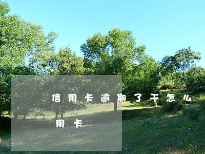 信用卡逾期了干怎么辦(有過逾期怎么申請信用卡)