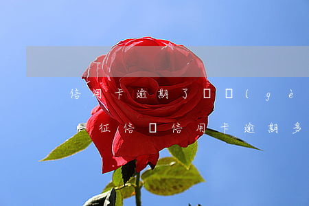 信用卡逾期了幾個(gè)月會(huì)上征信嗎(信用卡逾期多少天會(huì)上征信)
