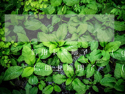 信用卡逾期了幾個(gè)月還能使用嗎-信用卡逾期了幾個(gè)月還能使用嗎知乎