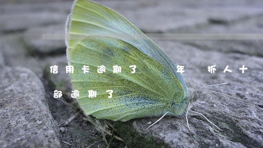 信用卡逾期了幾個年來抓人(十幾個信用卡全部逾期了)