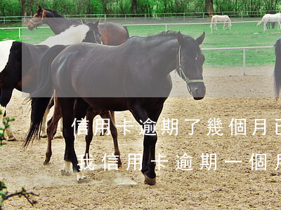 信用卡逾期了幾個月已經(jīng)還上(我信用卡逾期一個月,還了之后還能用嗎)