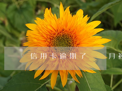 信用卡逾期了幾個月被銀行訴訟了
