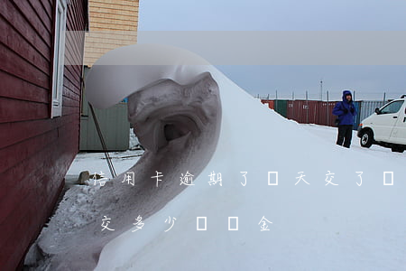 信用卡逾期了幾天交了滯納金(逾期一天需要交多少滯納金)