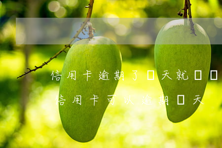 信用卡逾期了幾天就還進(jìn)去了(還信用卡可以逾期幾天)