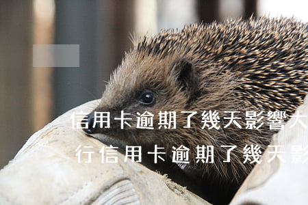 信用卡逾期了幾天影響大嗎?該怎么處理-建行信用卡逾期了幾天影響大嗎?該怎么處理