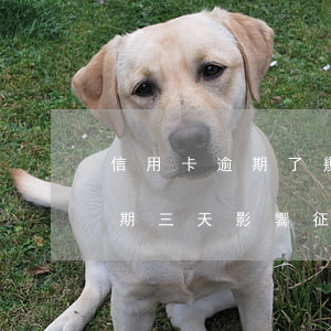 信用卡逾期了幾天影響征信嗎-還信用卡逾期三天影響征信嗎