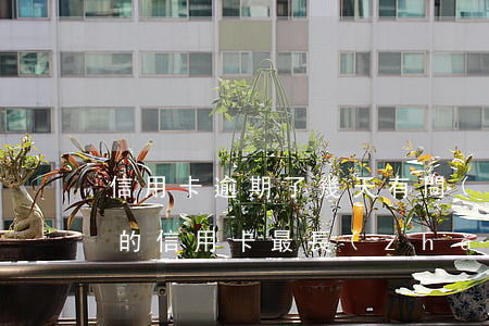 信用卡逾期了幾天有問(wèn)題嗎(你們的信用卡最長(zhǎng)逾期過(guò)多久)