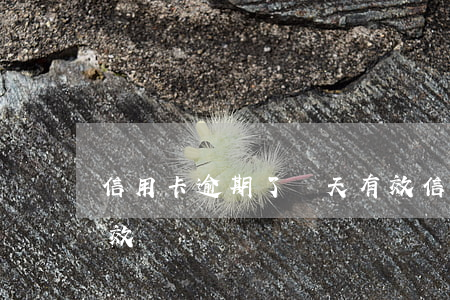 信用卡逾期了幾天有效(信用卡逾期了幾天有效)