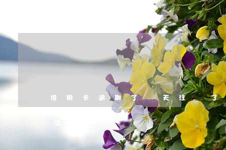 信用卡逾期了幾天注銷了信用卡(信用卡 到期 注銷)