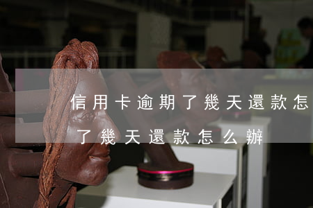信用卡逾期了幾天還款怎么辦啊（信用卡逾期了幾天還款怎么辦）