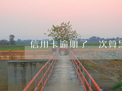 信用卡逾期了幾次算黑戶嗎(逾期三次是黑戶嗎)