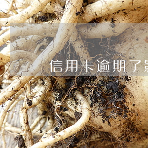 信用卡逾期了影響借唄使用嗎