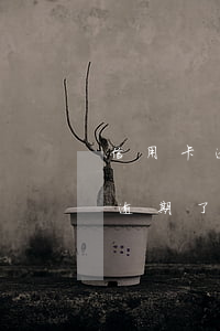 信用卡逾期了影響另一張卡使用嗎-信用卡逾期了影響另一張卡使用嗎怎么辦