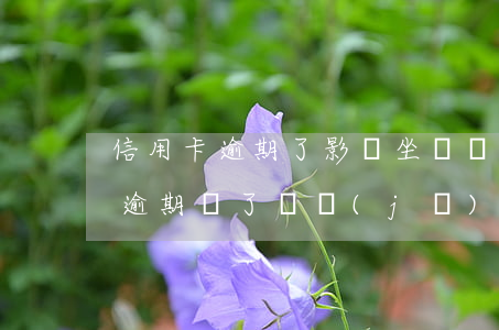 信用卡逾期了影響坐飛機(jī)不(信用卡逾期買了飛機(jī)票能上飛機(jī)嗎)
