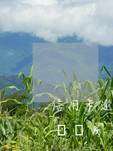 信用卡逾期了影響大嗎(信用卡逾期了影響大嗎買房)