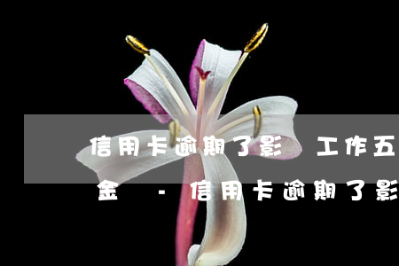 信用卡逾期了影響工作五險(xiǎn)一金嗎-信用卡逾期了影響工作五險(xiǎn)一金嗎知乎