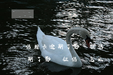 信用卡逾期了影響征信嗎怎么辦理(信用卡逾期了影響征信嗎怎么辦理貸款)