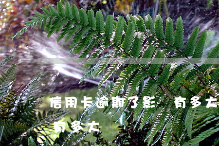 信用卡逾期了影響有多大(信用卡逾期了影響有多大)