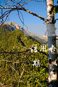 信用卡逾期了影響還房貸嗎(還房貸信用卡逾期過(guò)影響嗎)
