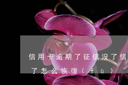 信用卡逾期了征信沒了(信用卡逾期了征信沒了怎么恢復(fù))