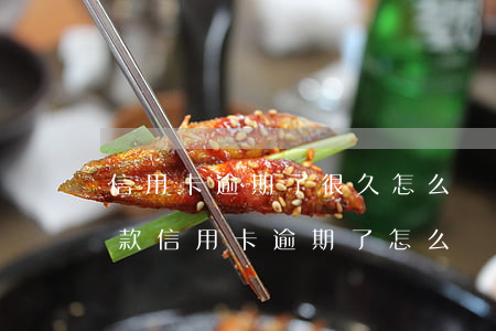 信用卡逾期了很久怎么貸款到錢-所有的貸款信用卡逾期了怎么辦
