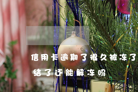信用卡逾期了很久被冻了(因逾期信用卡被冻结了还能解冻吗)