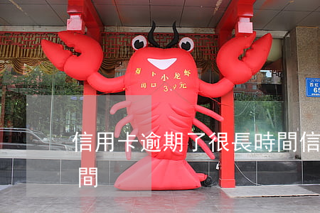 信用卡逾期了很長時間 信用卡逾期了很長時間